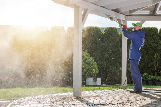 Best Dumpster Area Cleaning  in Emporia, VA